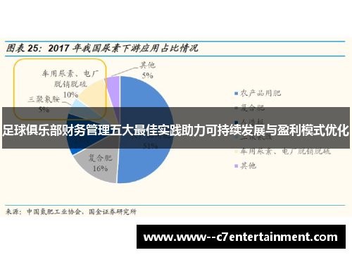 足球俱乐部财务管理五大最佳实践助力可持续发展与盈利模式优化
