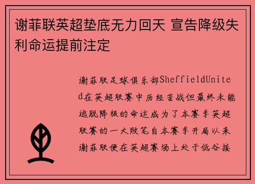 谢菲联英超垫底无力回天 宣告降级失利命运提前注定